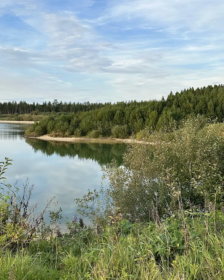 VV44 - Årre, Denmark | Good Travel