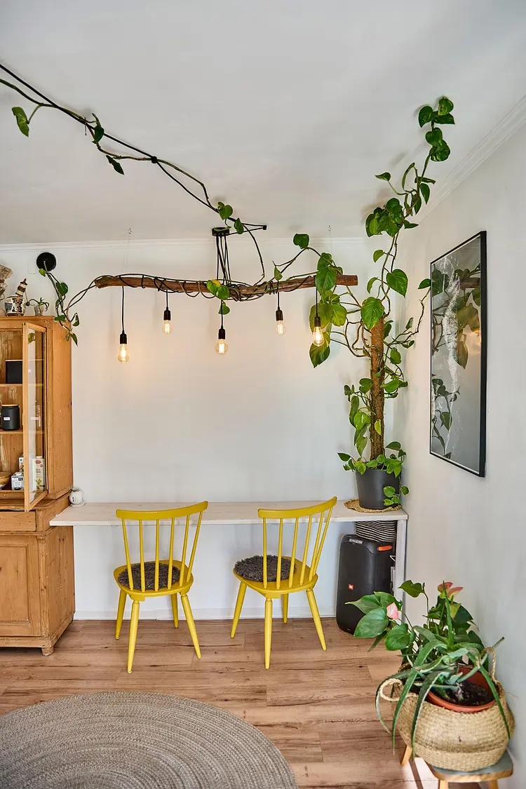 Wanna Rise Studio - Zell am See, Österreich | Good Travel