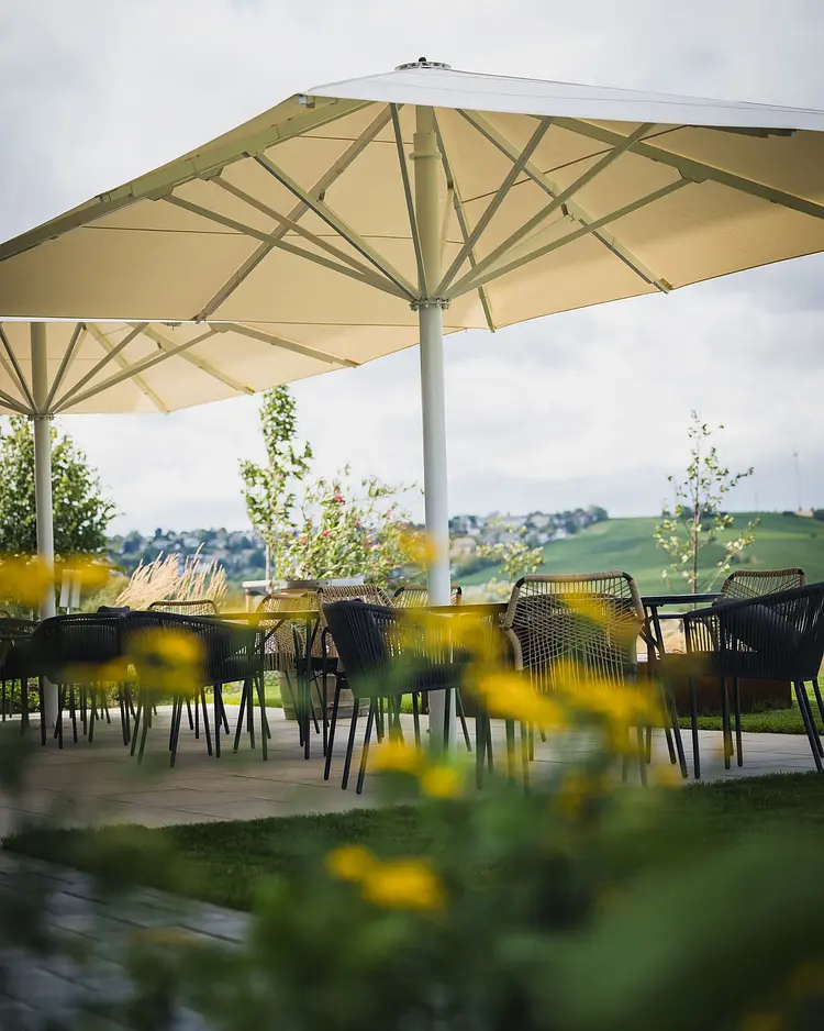 Weinzuhause - Mommenheim, Germany | Good Travel