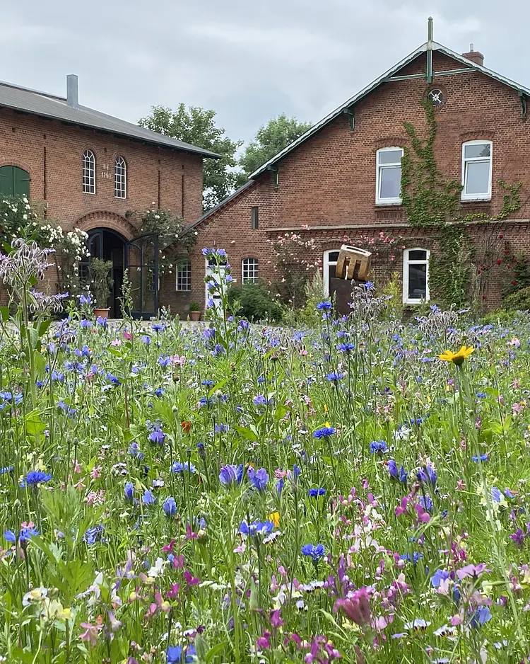 Werkgut - Atelierhaus - Meezen, Deutschland | Good Travel