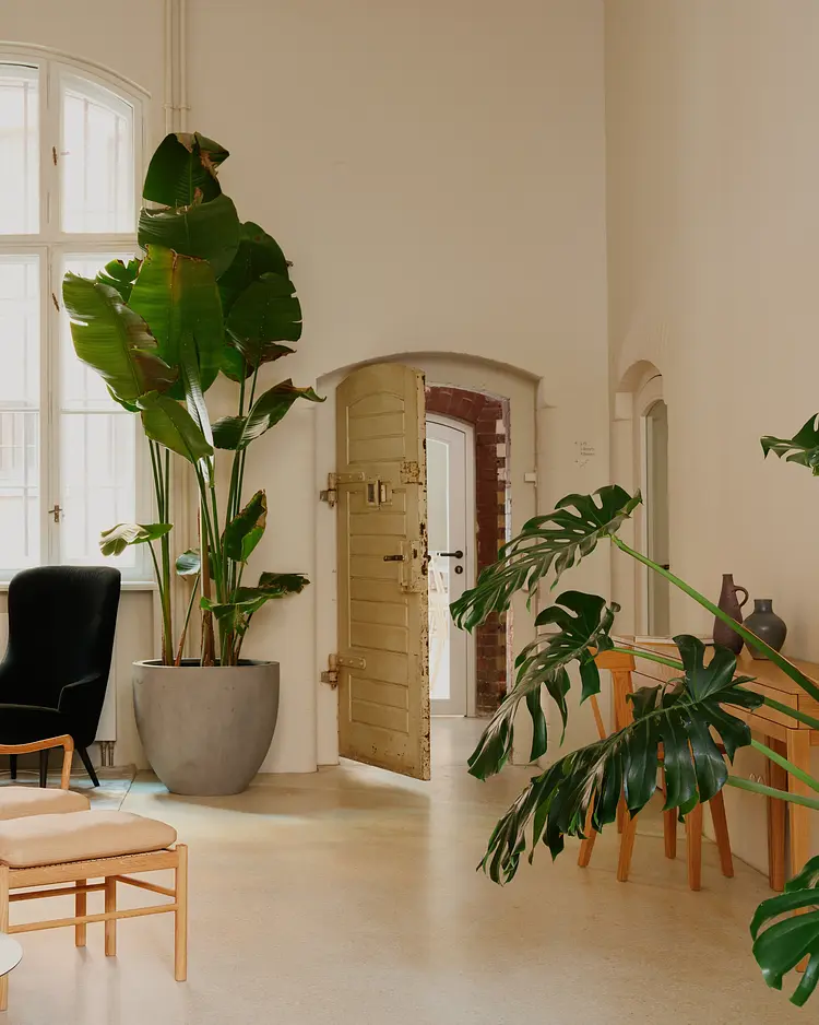 Wilmina - Berlin, Germany | Good Travel