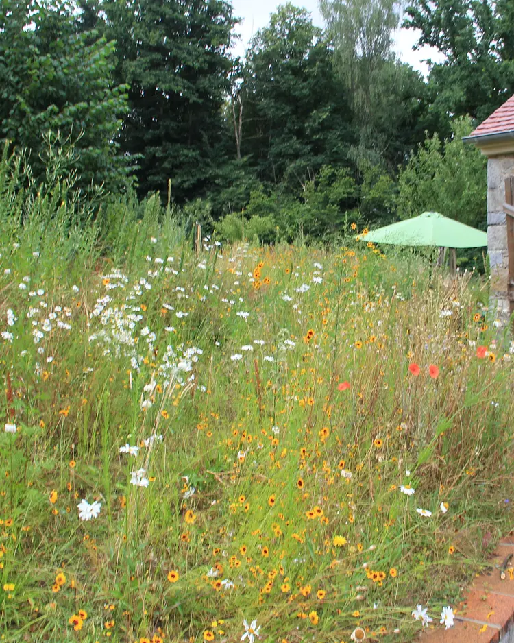 Apfelscheune - Malschwitz, Deutschland | Good Travel