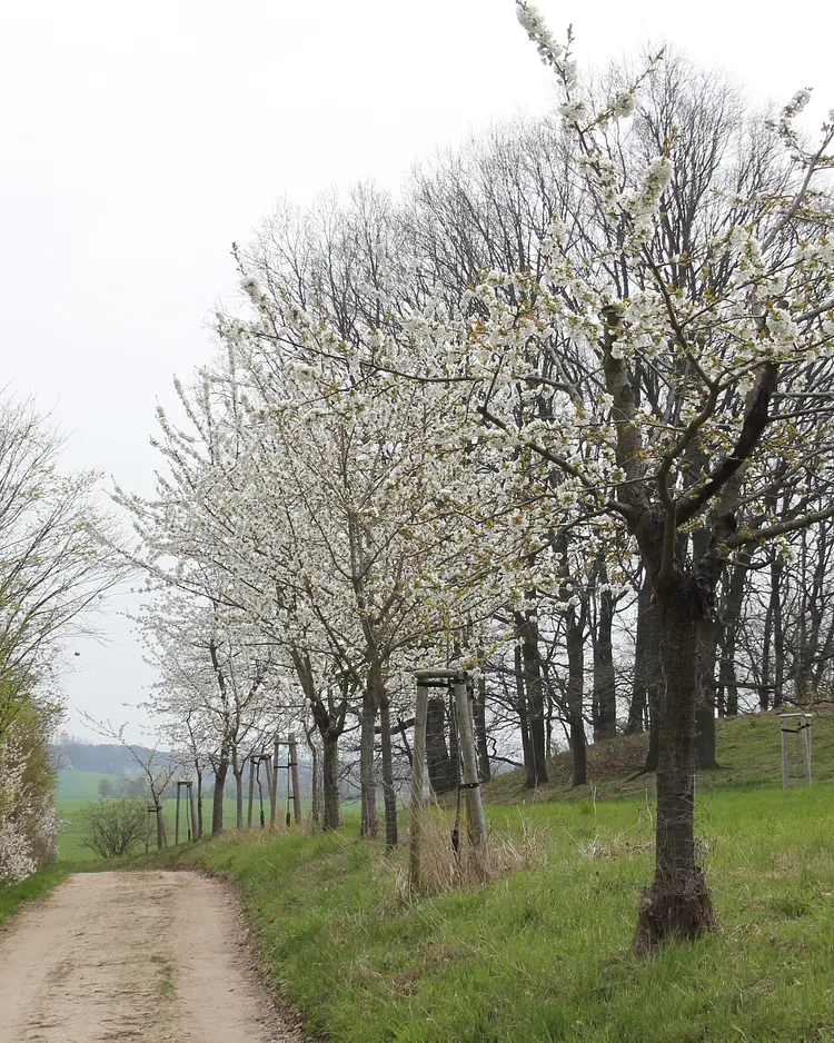 Apfelscheune - Malschwitz, Germany | Good Travel