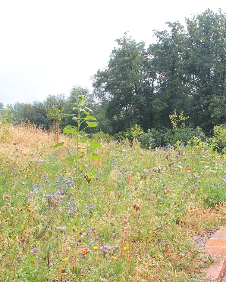 Apfelscheune - Malschwitz, Germany | Good Travel