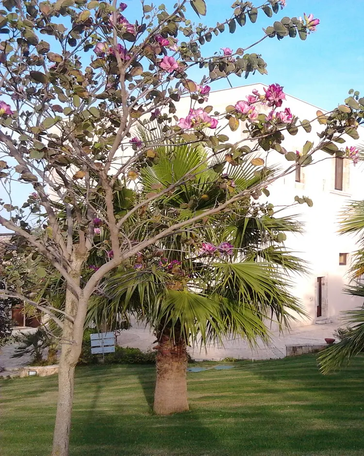 Torre Marabino - Ispica, Italien | Good Travel