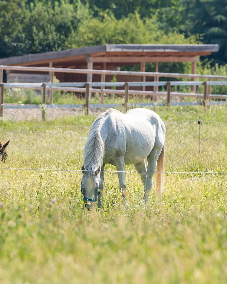 Casa Viva - Costermano sul Garda, Italy | Good Travel