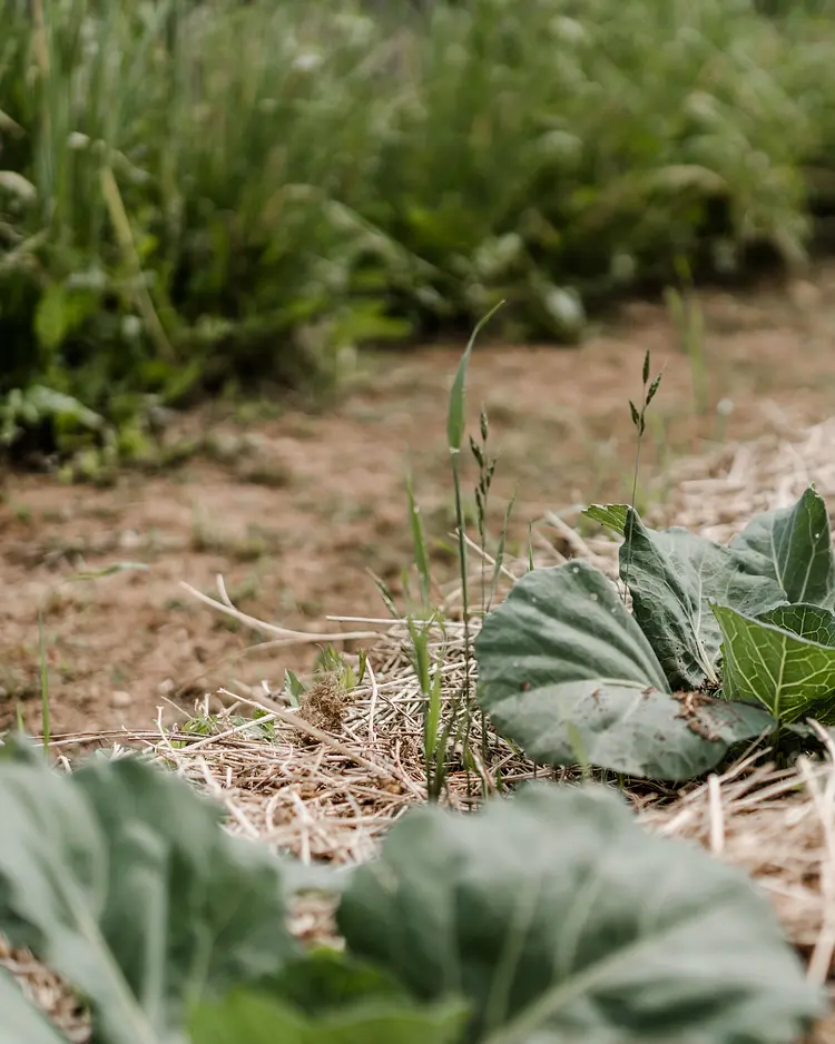 Casa Viva - Costermano sul Garda, Italy | Good Travel