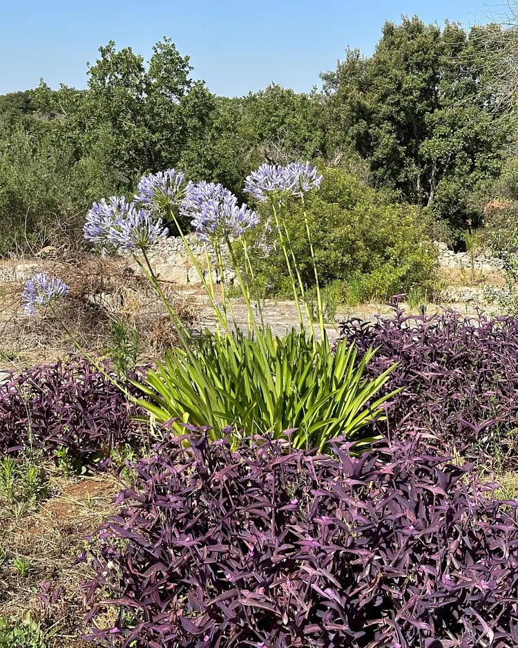 Trullo Grano di Puglia - Carovigno, Italien | Good Travel