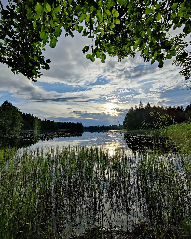 Tuukkala Farm B&B - Ristiina, Finnland | Good Travel