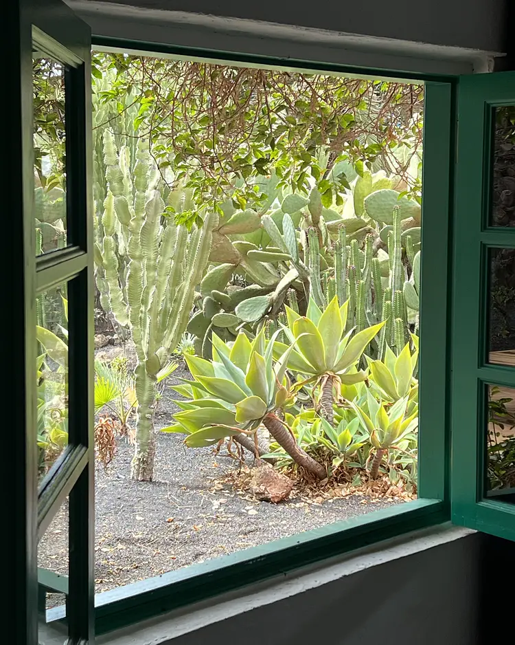 Finca Mimosa - Lanzarote, Spanien | Good Travel