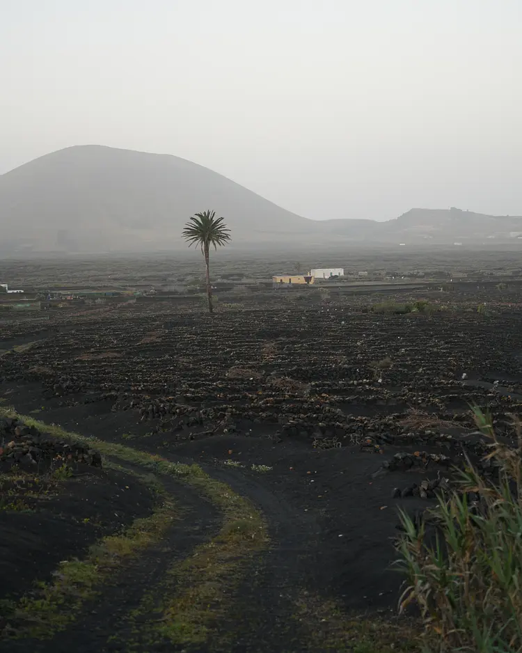 Finca Mimosa - Lanzarote, Spanien | Good Travel