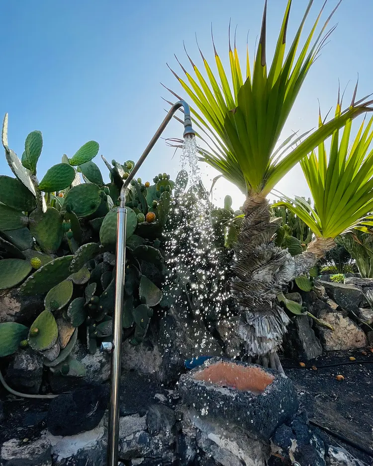 Finca Mimosa - Lanzarote, Spanien | Good Travel
