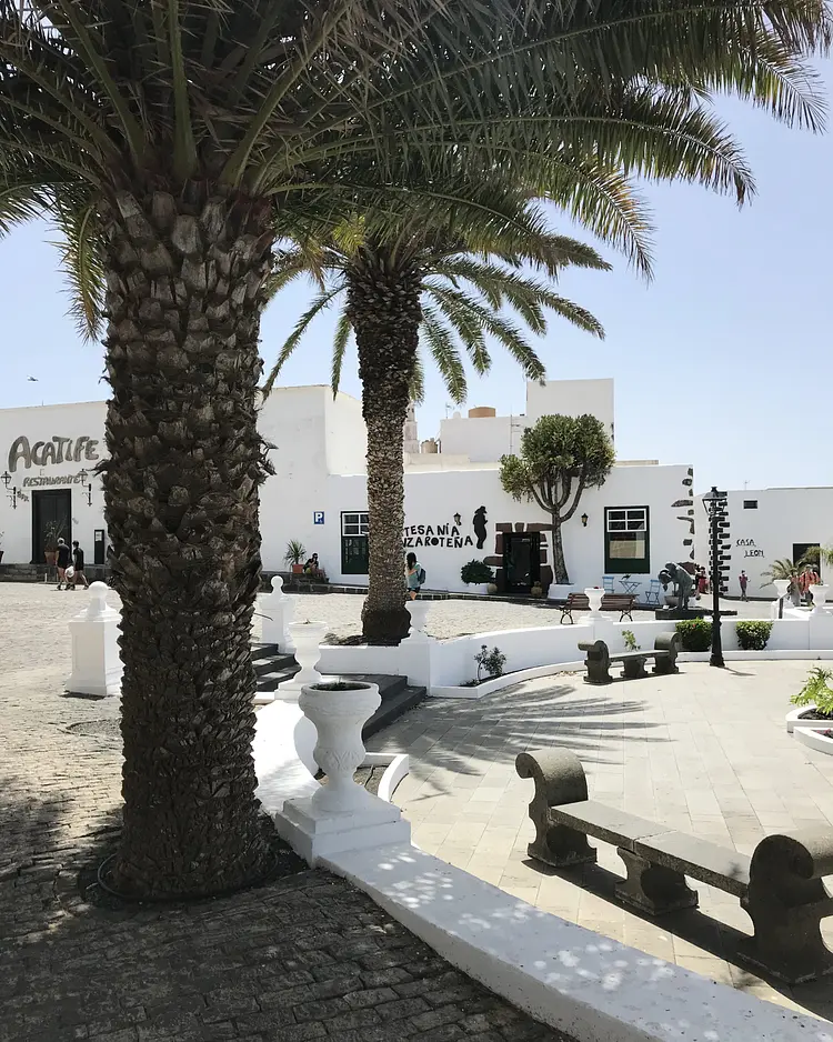 Finca Mimosa - Lanzarote, Spanien | Good Travel