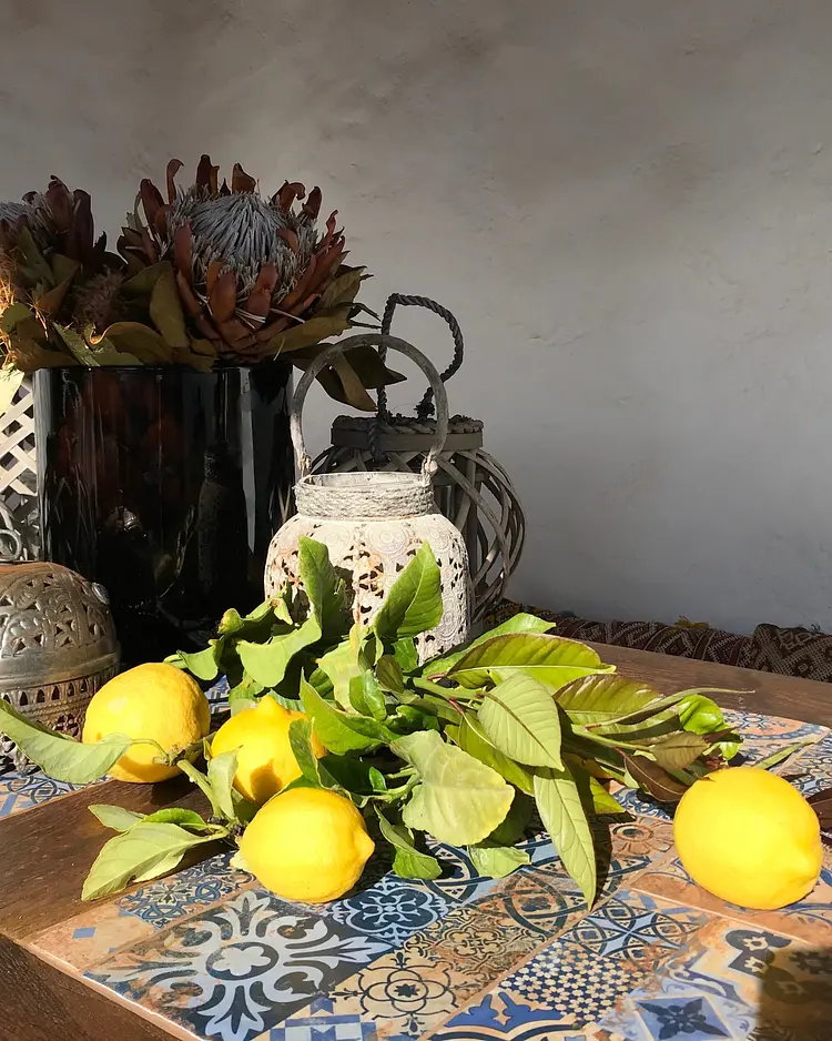 Casa Alegria - Lanzarote, Spanien | Good Travel
