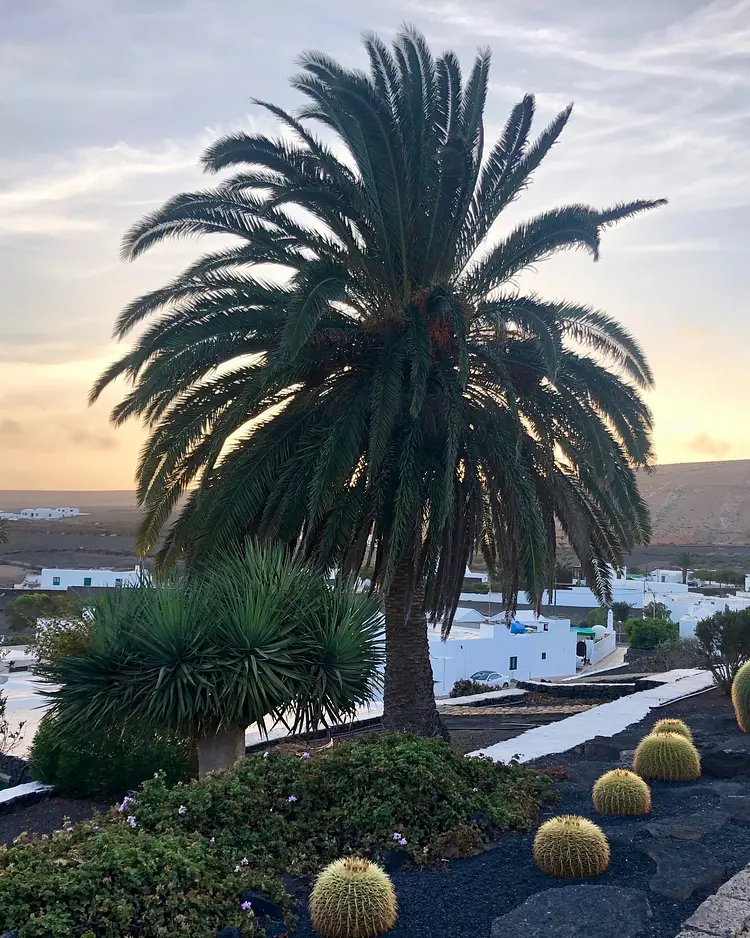 Casa Alegria - Lanzarote, Spanien | Good Travel