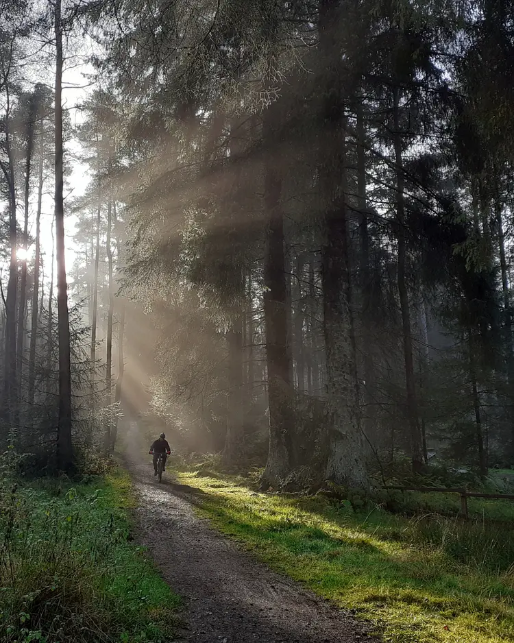 Brucefield Estate - Forestmill, Great Britain | Good Travel