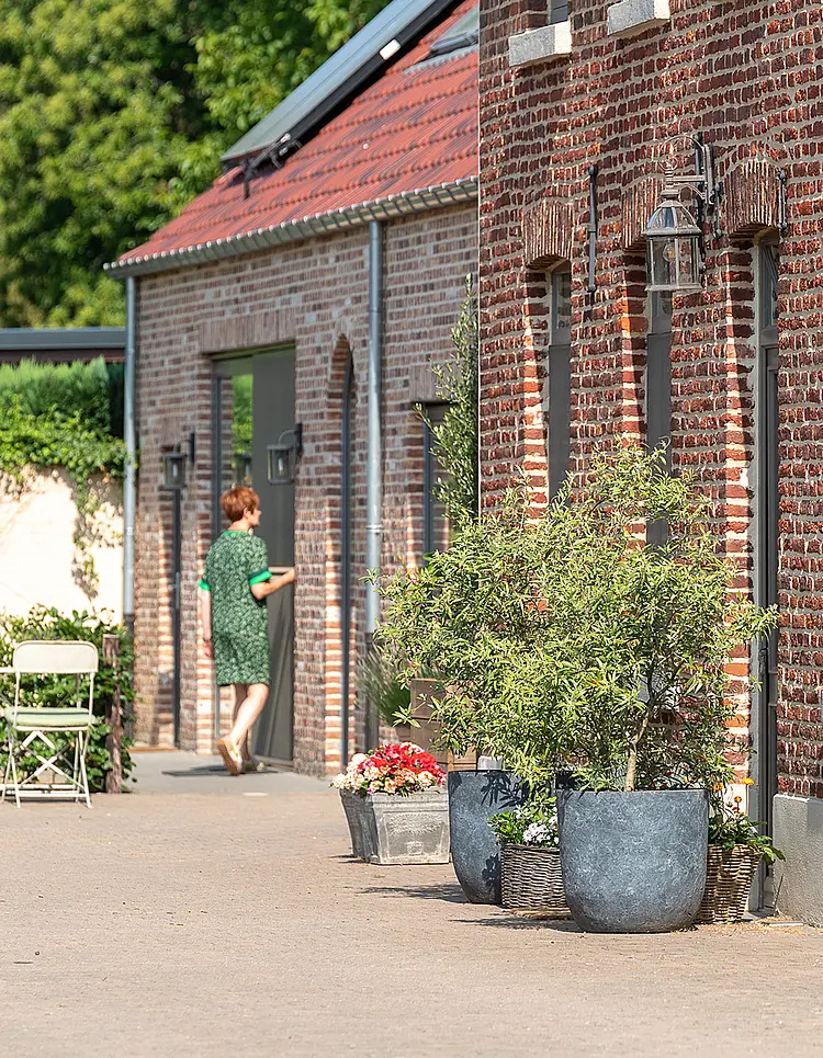 Woods & Wine - As, Belgium | Good Travel
