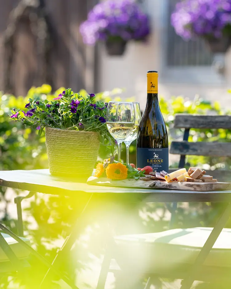 Woods & Wine - As, Belgium | Good Travel