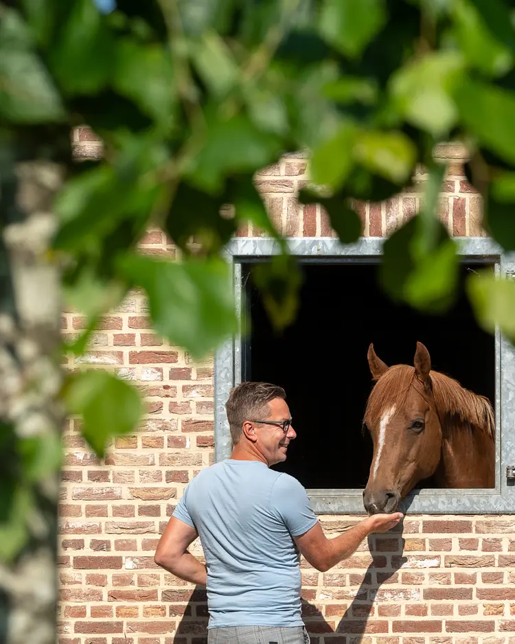 Woods & Wine - As, Belgium | Good Travel