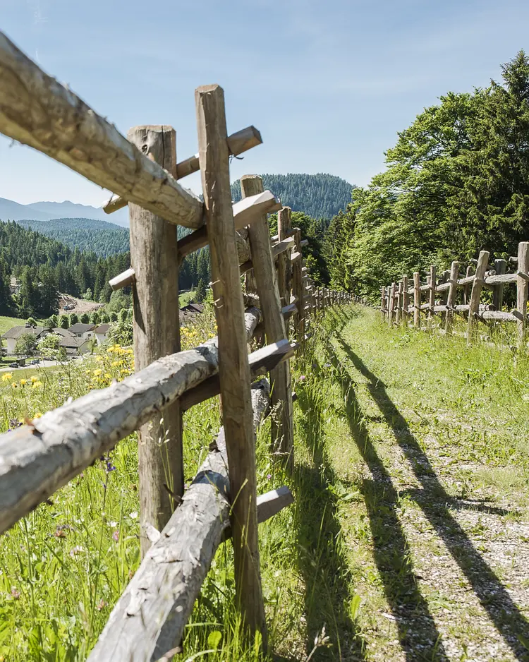Zum Hirschen - Unsere lb. Frau im Walde - St. Felix, Italy | Good Travel