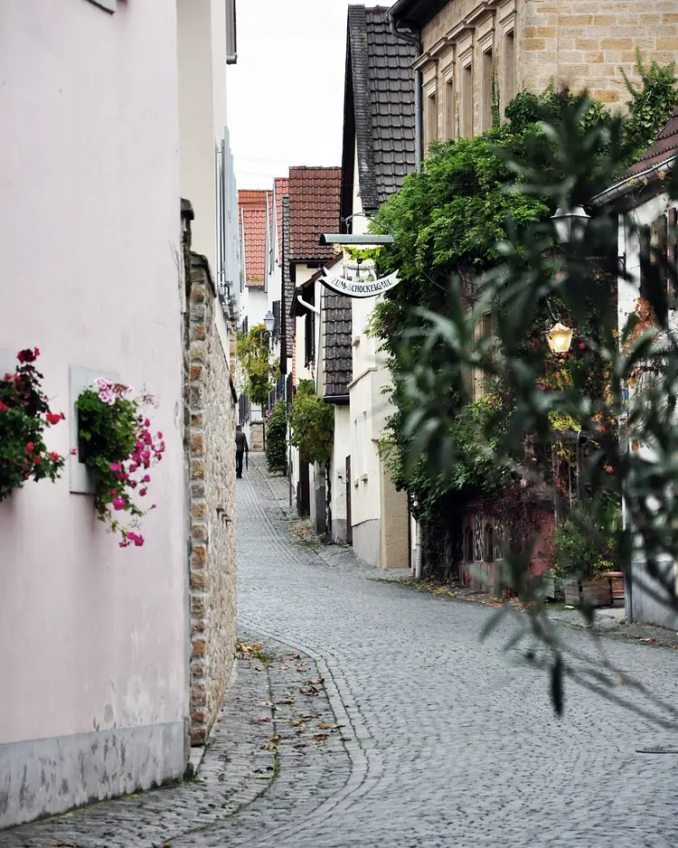 Zum Schockelgaul - Forst an der Weinstrasse, Deutschland | Good Travel