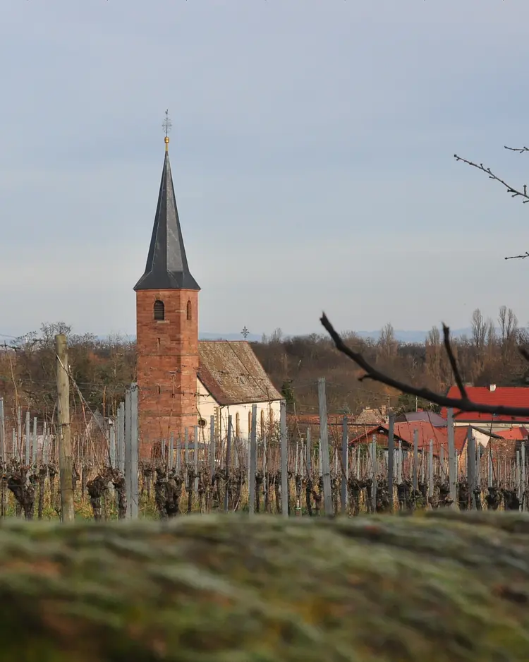 Zum Schockelgaul - Forst an der Weinstrasse, Deutschland | Good Travel