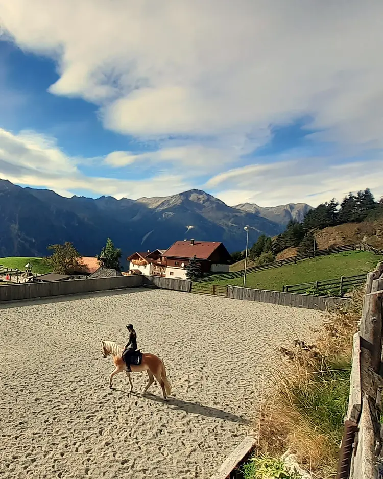 Bio und Reiterhof der Veitenhof - Niederthai, Austria | Good Travel