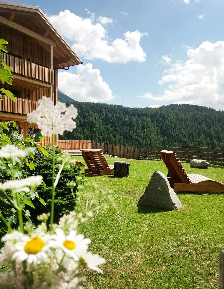 Bio und Reiterhof der Veitenhof - Niederthai, Austria | Good Travel