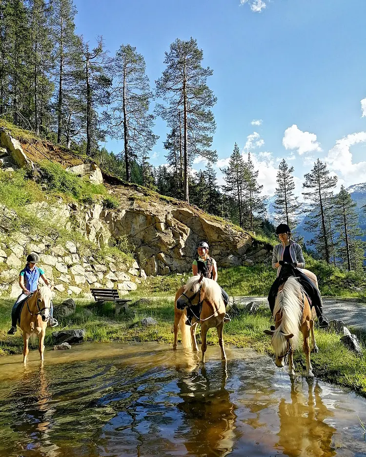 Bio und Reiterhof der Veitenhof - Niederthai, Austria | Good Travel