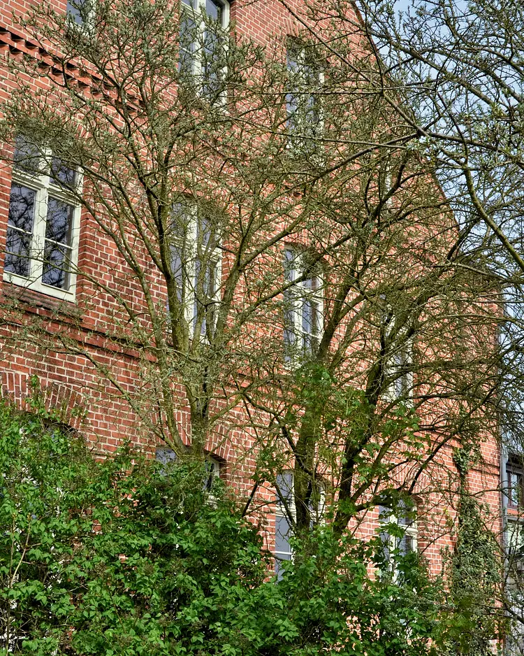 Gasthaus An Den Wiesen - Wandlitz, Deutschland | Good Travel