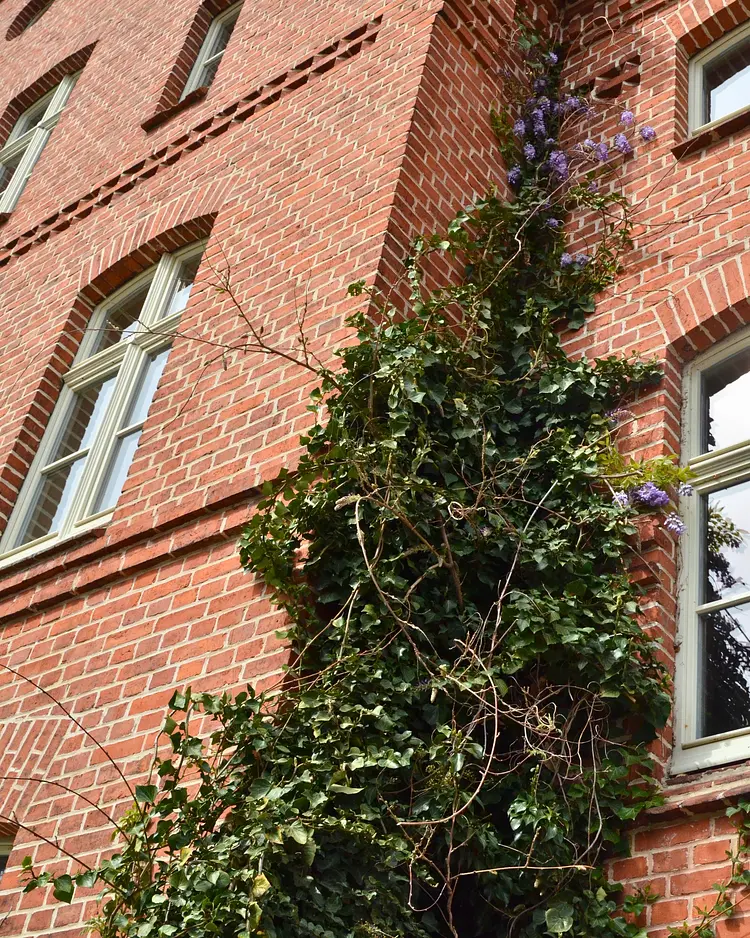 Gasthaus An Den Wiesen - Wandlitz, Deutschland | Good Travel