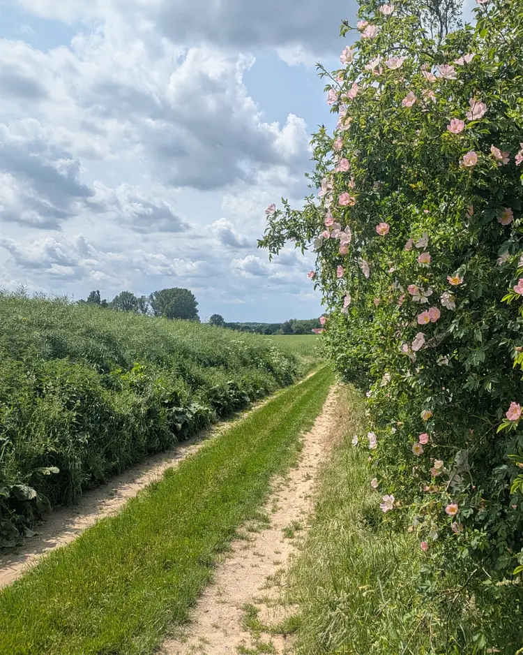 Hasseldorf 10 - Lindenberg, Deutschland | Good Travel