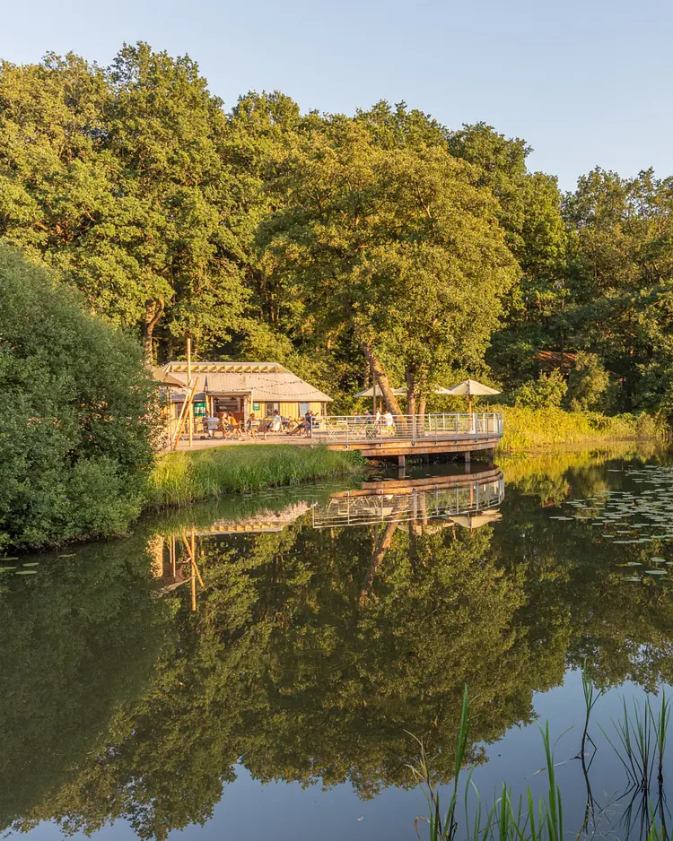 HUTTOPIA De Roos - PJ Beerze, Niederlande | Good Travel