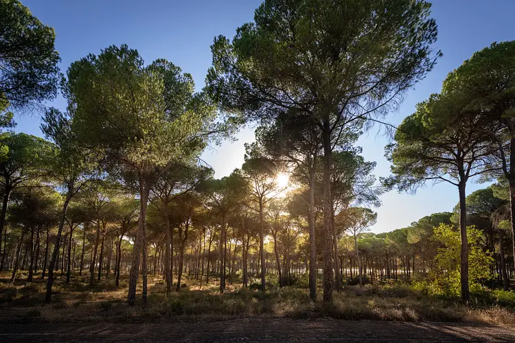HUTTOPIA Parque de Doñana - Hinojos, Spanien | Good Travel