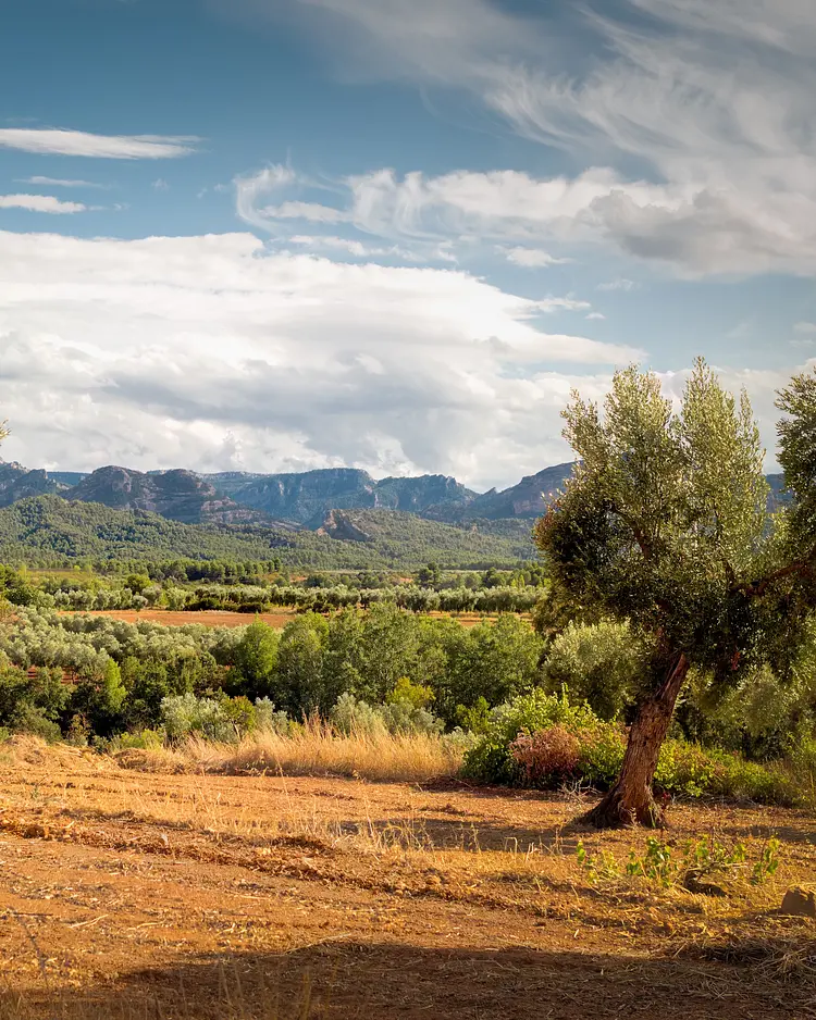 El Caracol - Lledó, Spanien | Good Travel