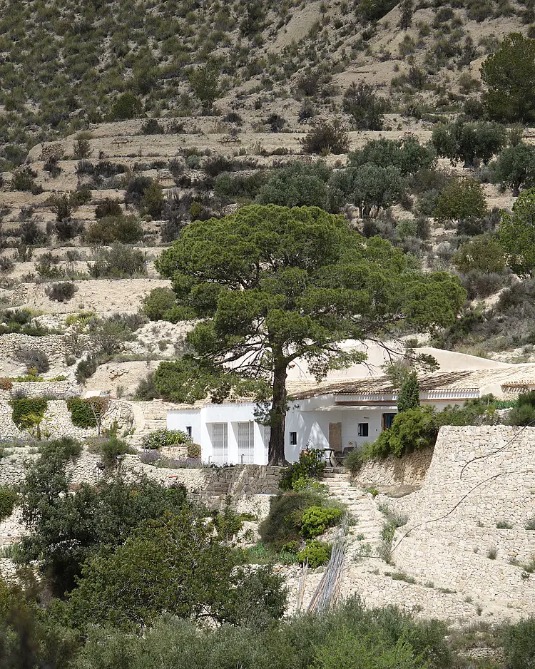 El Maravedi - Alicante (Valencia), Spanien | Good Travel