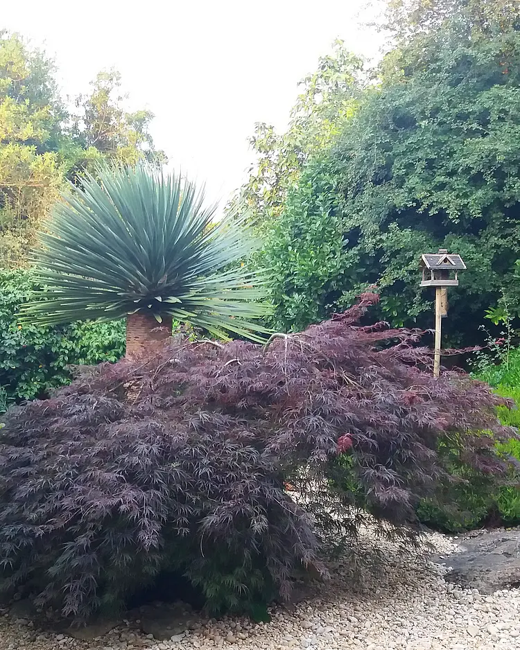 El Jardin de las Aves - Santander, Spain | Good Travel