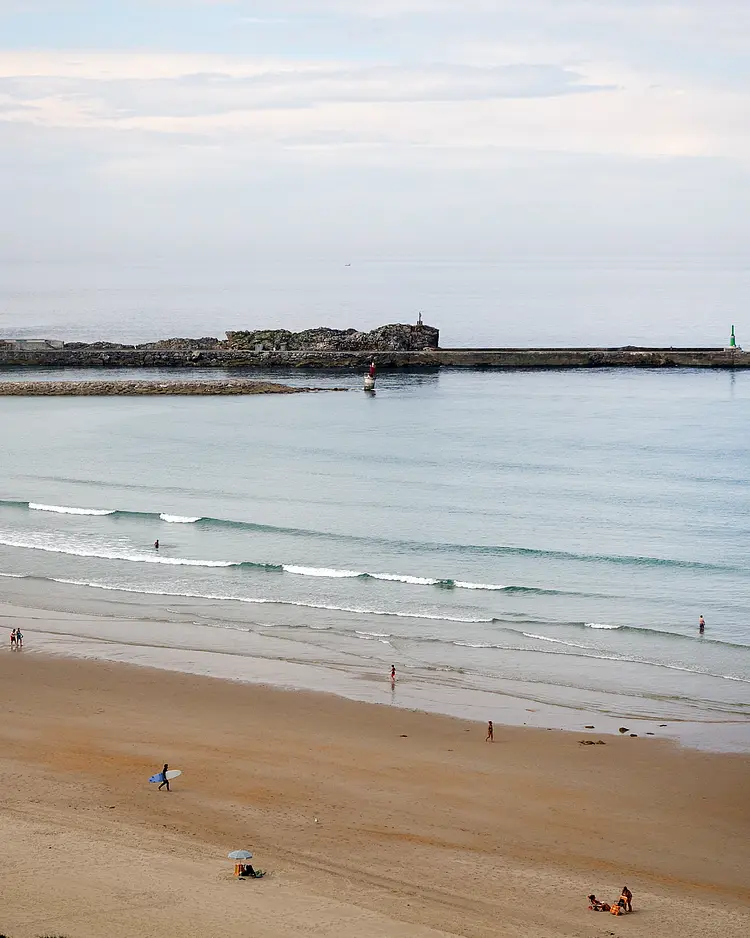 El Jardin de las Aves - Santander, Spain | Good Travel