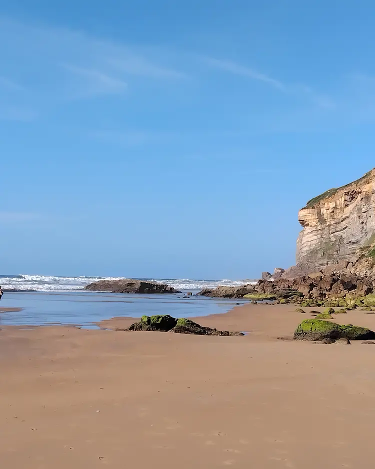 El Jardin de las Aves - Santander, Spain | Good Travel