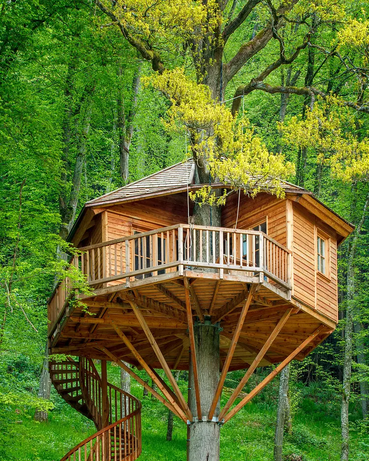 Baumhaushotel Seemühle - Gräfendorf, Deutschland | Good Travel