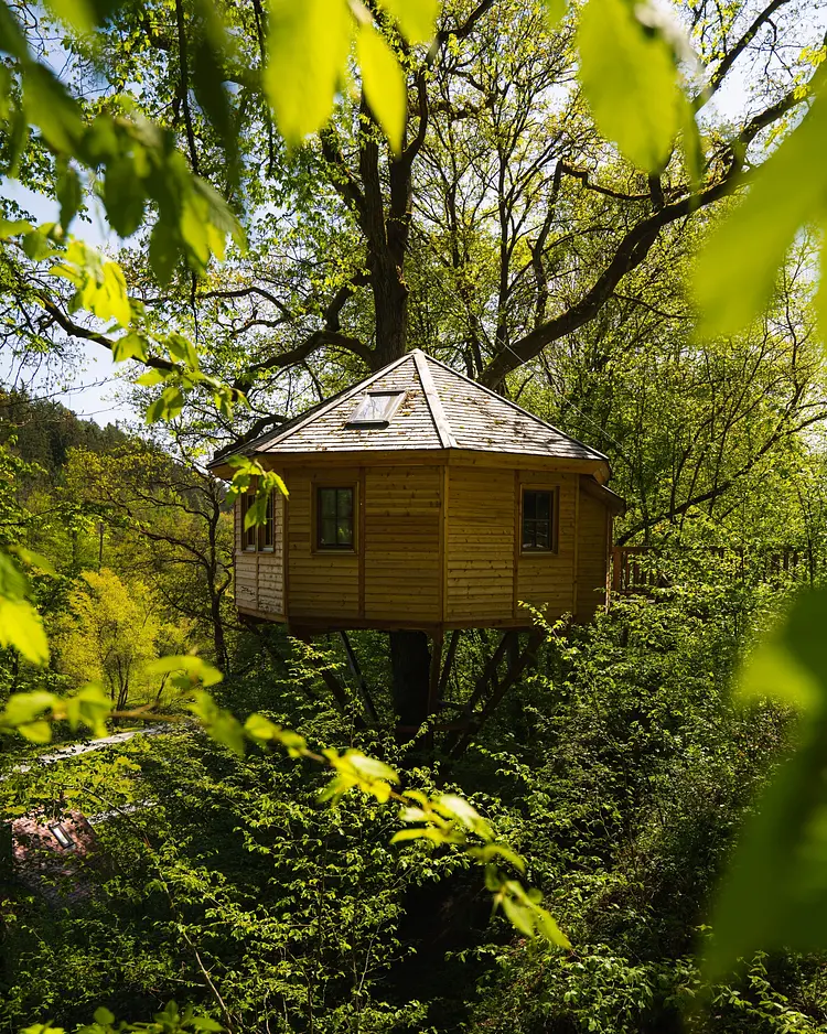 Baumhaushotel Seemühle - Gräfendorf, Deutschland | Good Travel