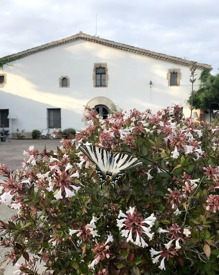 Ca l’Andreu - Tiana, Spain | Good Travel
