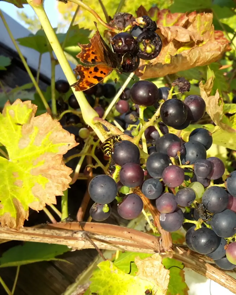 Berghüs am Grünten - Sonthofen, Deutschland | Good Travel
