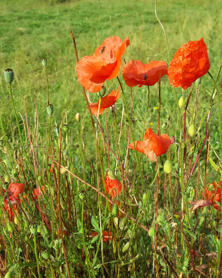Berghüs am Grünten - Sonthofen, Deutschland | Good Travel