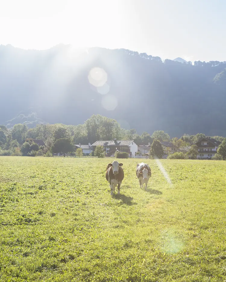 berge - Aschau im Chiemgau, Germany | Good Travel