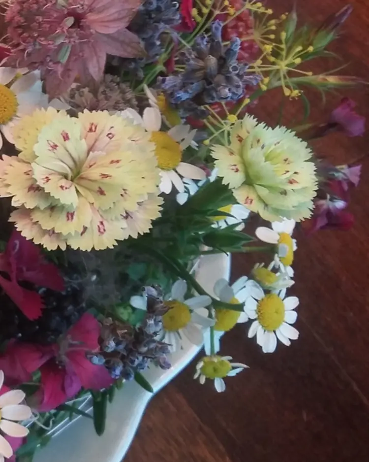 Berghüs am Grünten - Sonthofen, Germany | Good Travel