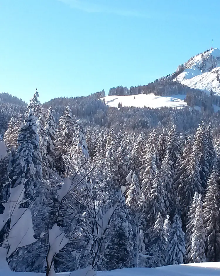 Berghüs am Grünten - Sonthofen, Germany | Good Travel