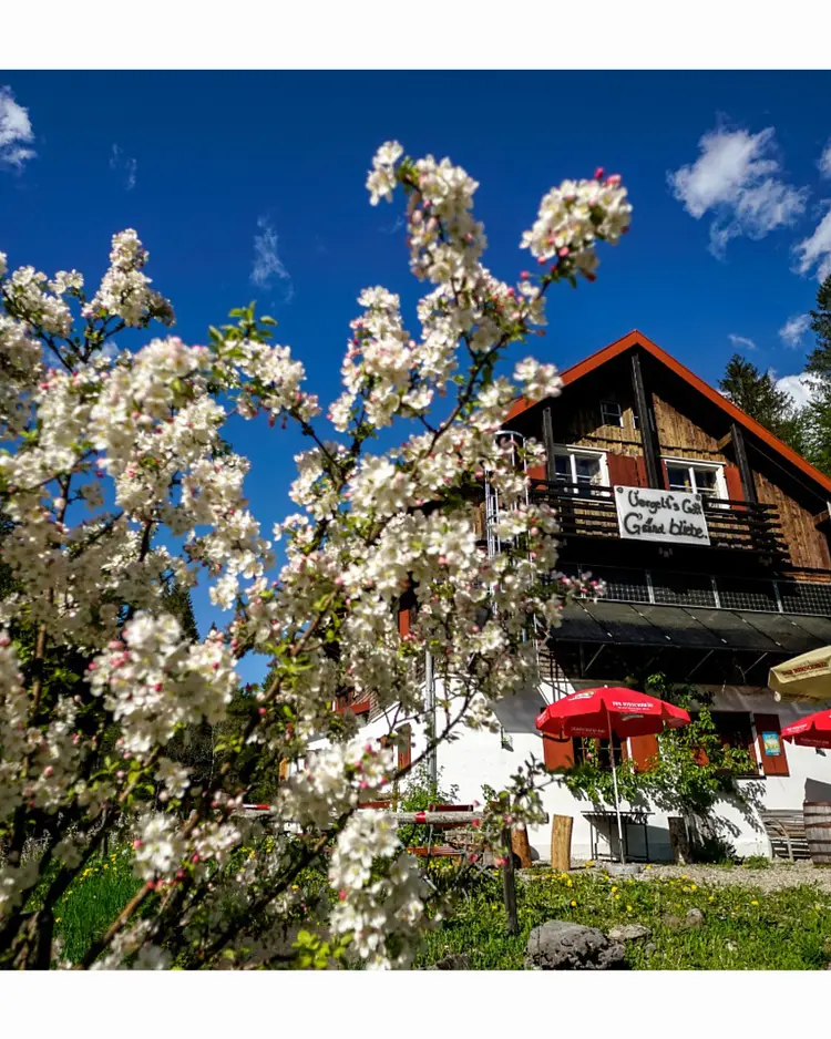 Berghüs am Grünten - Sonthofen, Germany | Good Travel