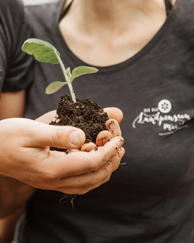 Bio-Landpension Monika - Leutasch, Österreich | Good Travel