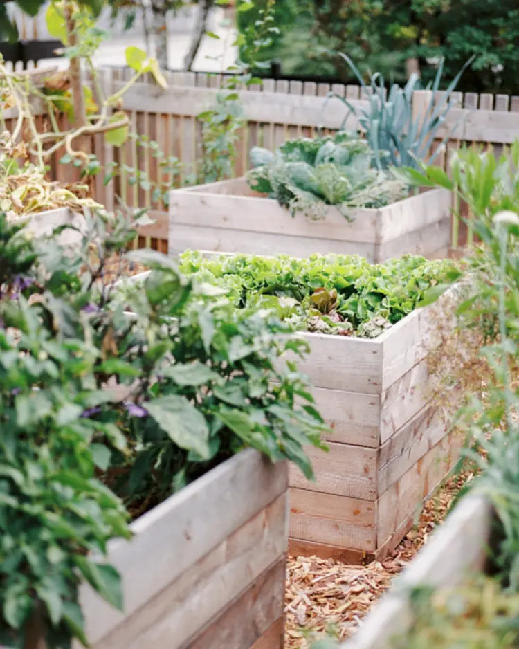 Bio-Landpension Monika - Leutasch, Österreich | Good Travel